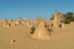 Nambung National Park, Western Australia photo