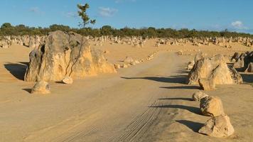 Nambung National Park, Western Australia photo