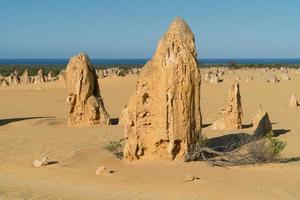 Nambung National Park, Western Australia photo