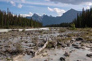 Athabasca River, Jasper National Park, Rocky Mountains, Alberta, Canada photo