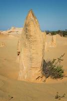 parque nacional nambung, oeste de australia foto