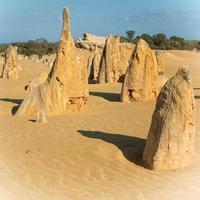 Nambung National Park, Western Australia photo