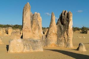 Nambung National Park, Western Australia photo