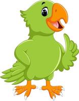 Parrot Cartoon Vector Art, Icons, and Graphics for Free Download Parrot Cartoon Vector Art, Icons, and Graphics for Free Download