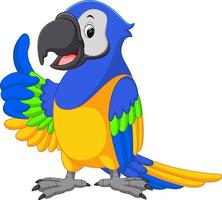 cute macaw cartoon vector