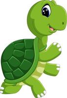 cute turtle cartoon vector