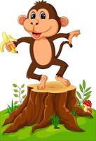 Cartoon funny monkey holding banana on tree stump vector