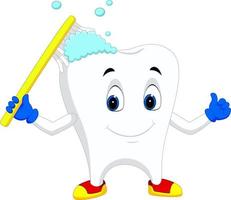 Tooth cartoon holding toothbrush vector