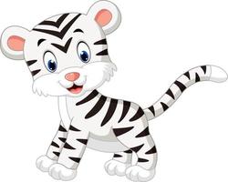 illustration of cute baby white tiger vector