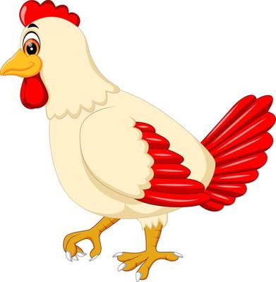 Cute chicken hen cartoon on white background 21458228 Vector Art at Vecteezy