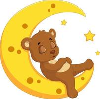 The bear sleep on the moon vector