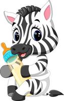 illustration of cute baby zebra vector