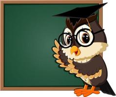 illustration of Owl teacher at blackboard vector