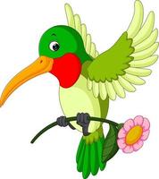 colibrí divertido de dibujos animados vector