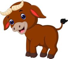 cute baby bull cartoon vector