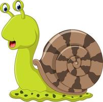 Cute snail cartoon vector