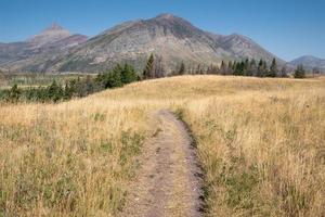 Waterton Lakes National Park, Alberta, Canada photo