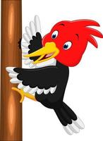 Woodpecker bird cartoon vector