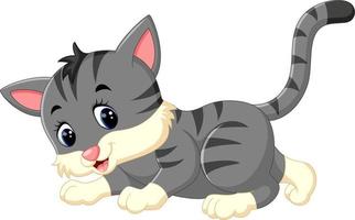 ilustración de dibujos animados lindo gato vector