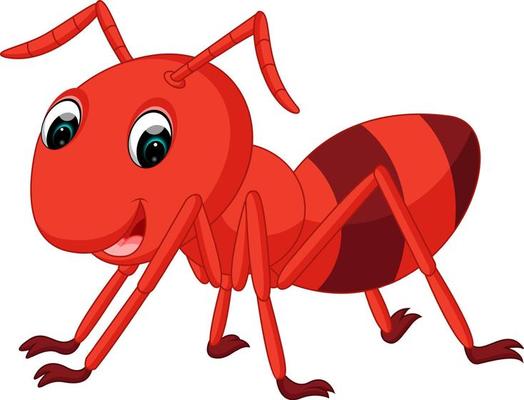 ant