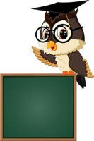 illustration of Owl teacher at blackboard vector