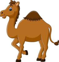 illustration of cute funny camel vector