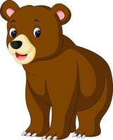 funny bear Cartoon vector