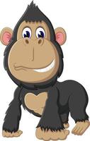 gorilla cartoon of illustration vector