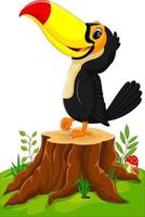 Cartoon happy toucan on tree stump vector