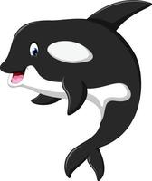 linda caricatura de orca vector