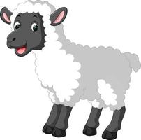 Cute sheep cartoon vector