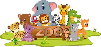 collection of zoo animals vector