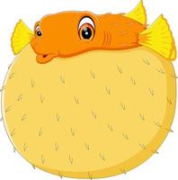 illustration of Cartoon funny puffer fish vector