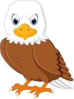 Cute eagle cartoon vector