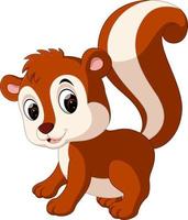 Cute squirrel cartoon vector