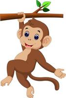 cute monkey cartoon vector