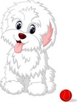 Cute white lap-dog puppy posing vector