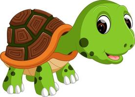 Cute turtle cartoon vector