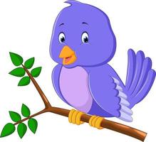 Cute purple bird cartoons vector