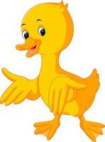 cute duck cartoon vector