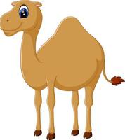 ilustración de lindo camello divertido vector