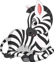 Cute zebra cartoon vector
