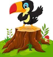 Cartoon happy toucan on tree stump vector