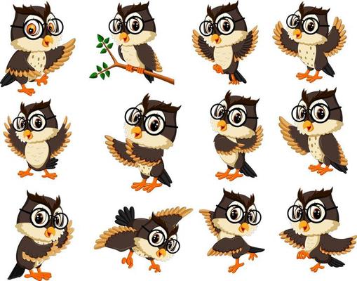 collection of owl cartoon