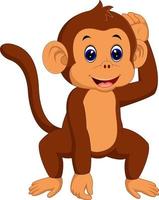 cute monkey carton vector