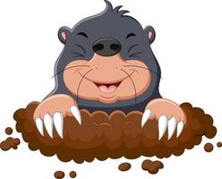 Cartoon cute mole vector