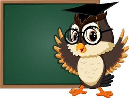 illustration of Owl teacher at blackboard vector