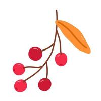 Twig with cranberries and golden leaves isolated on white background. Vector hand-drawn illustration in cartoon flat style. Perfect for your project, cards, logo, decorations.