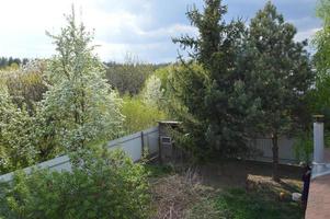 Panorama of the garden in the village in spring photo