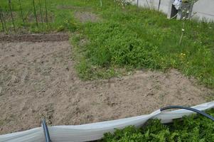 invernadero e invernadero para plantar verduras en el pueblo foto